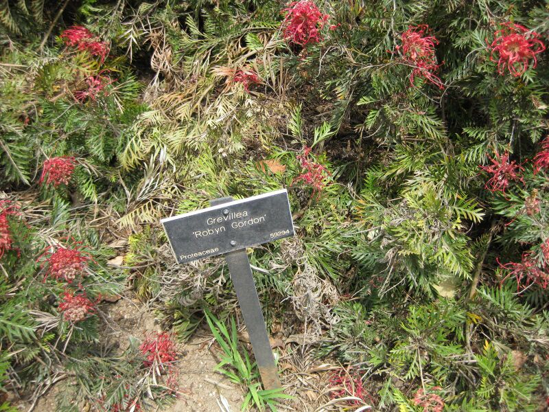 File:IMG 4566 hunt0904.jpg