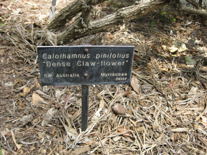 File:IMG 4569 hunt0904.jpg