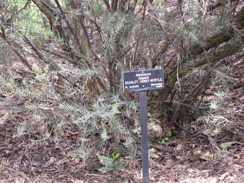 File:IMG 4574 hunt0904.jpg