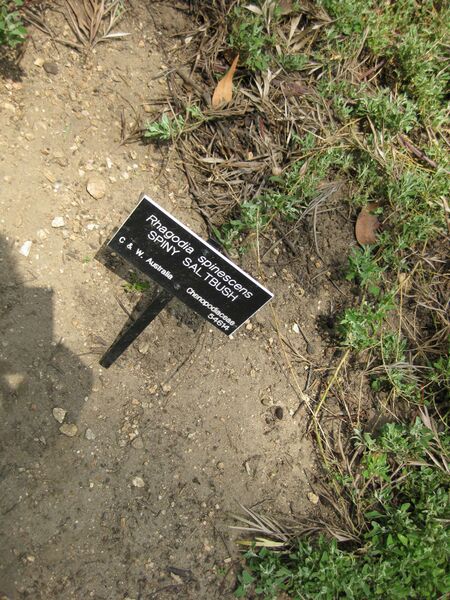 File:IMG 4576 hunt0904.jpg