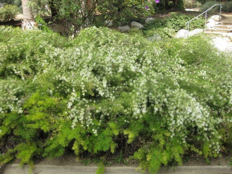 File:IMG 4577 hunt0904.jpg