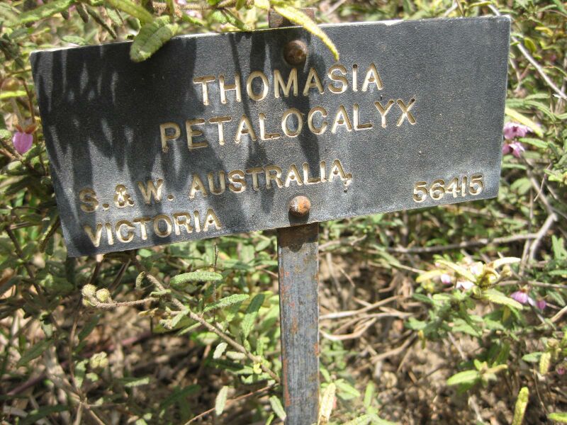 File:IMG 4582 hunt0904.jpg