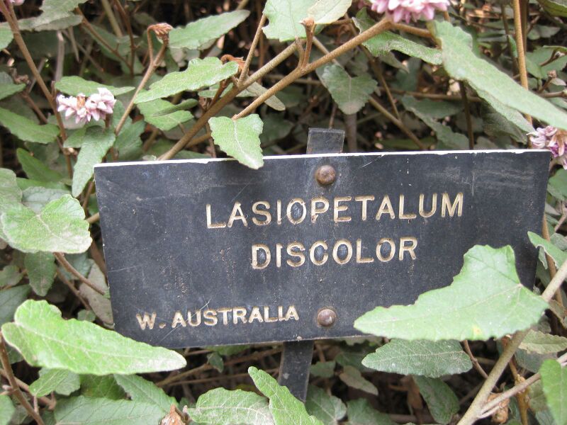 File:IMG 4592 hunt0904.jpg