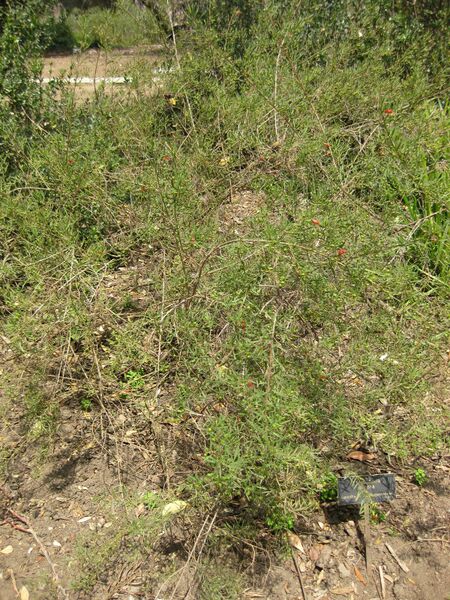 File:IMG 4594 hunt0904.jpg