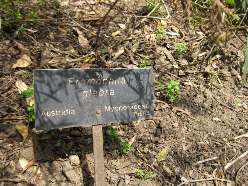 File:IMG 4595 hunt0904.jpg