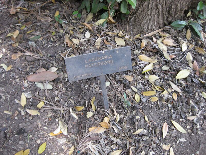 File:IMG 4600 hunt0904.jpg