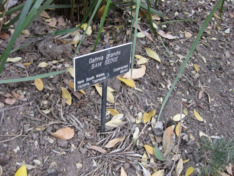 File:IMG 4602 hunt0904.jpg