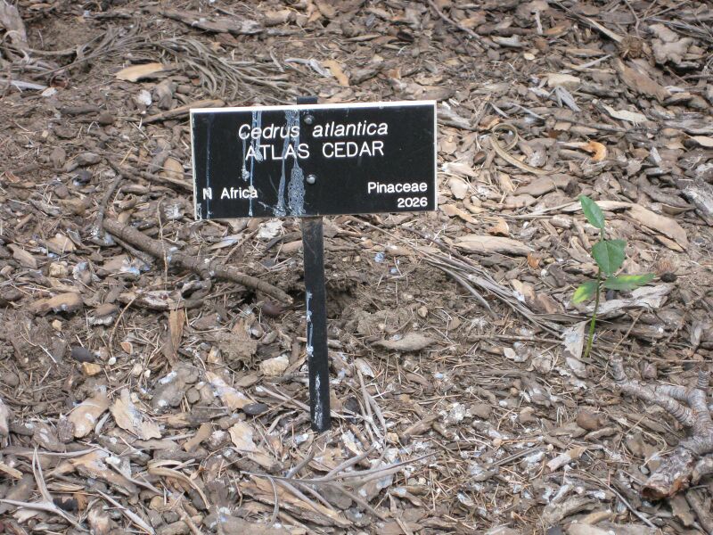 File:IMG 4605 hunt0904.jpg