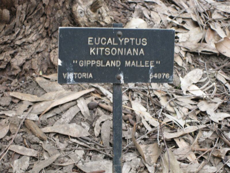 File:IMG 4607 hunt0904.jpg