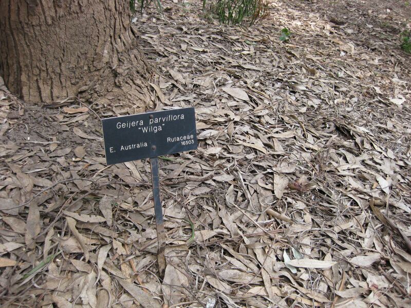 File:IMG 4611 hunt0904.jpg