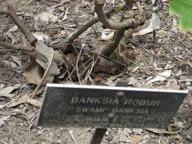 File:IMG 4615 hunt0904.jpg