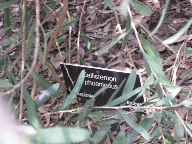 File:IMG 4618 hunt0904.jpg