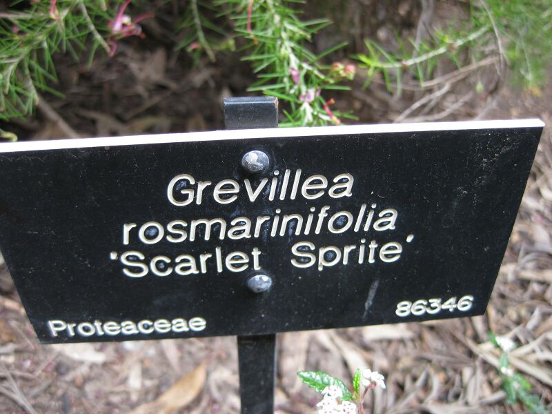 File:IMG 4622 hunt0904.jpg