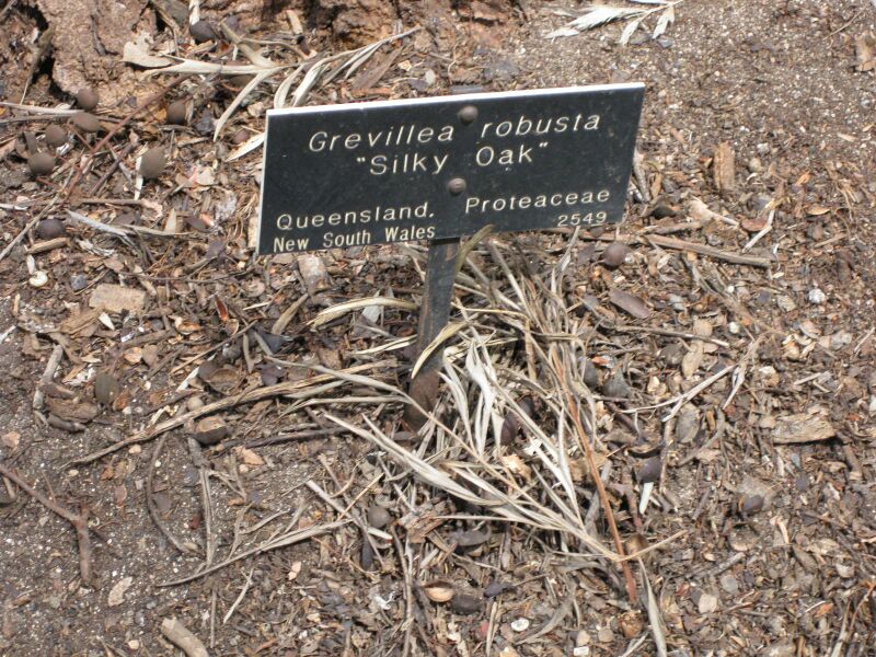 File:IMG 4627 hunt0904.jpg