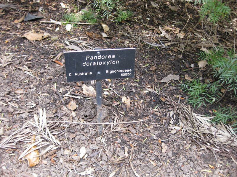 File:IMG 4632 hunt0904.jpg