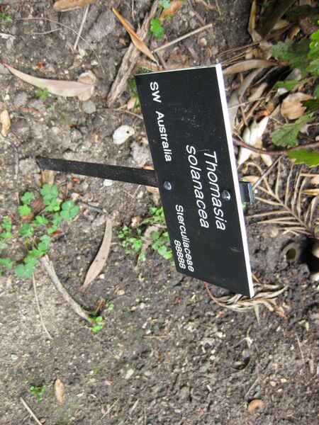 File:IMG 4635 hunt0904.jpg