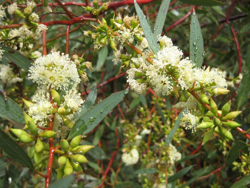 File:IMG 4643 hunt0904.jpg