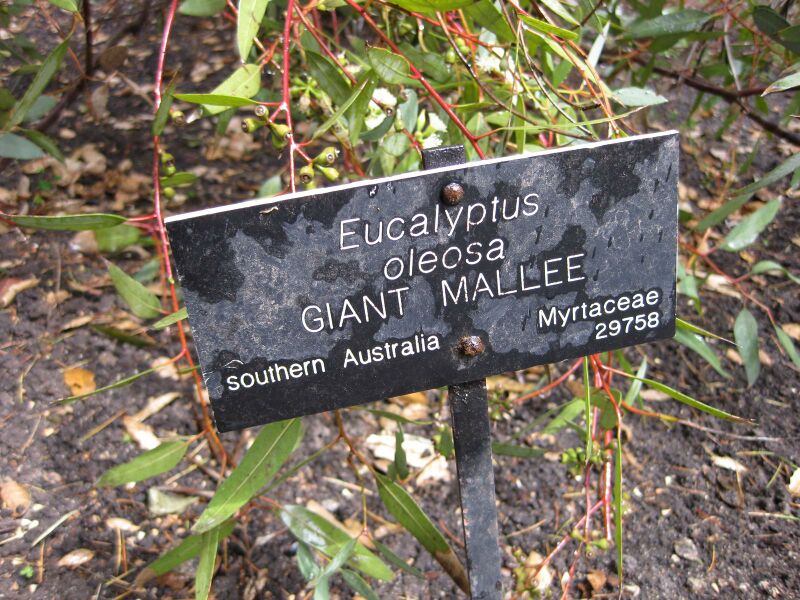 File:IMG 4644 hunt0904.jpg