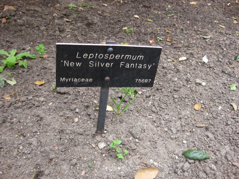 File:IMG 4649 hunt0904.jpg