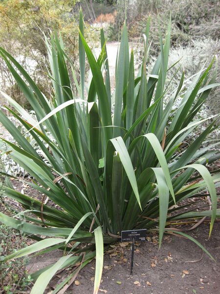 File:IMG 4650 hunt0904.jpg