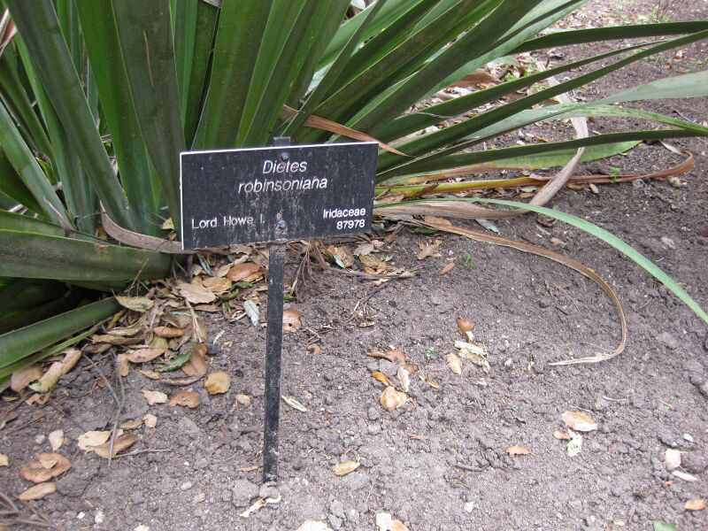 File:IMG 4651 hunt0904.jpg