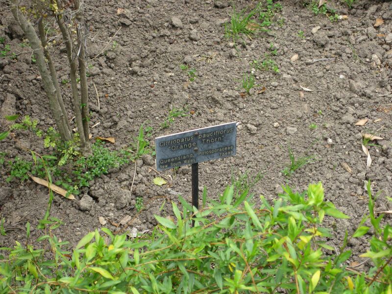 File:IMG 4654 hunt0904.jpg