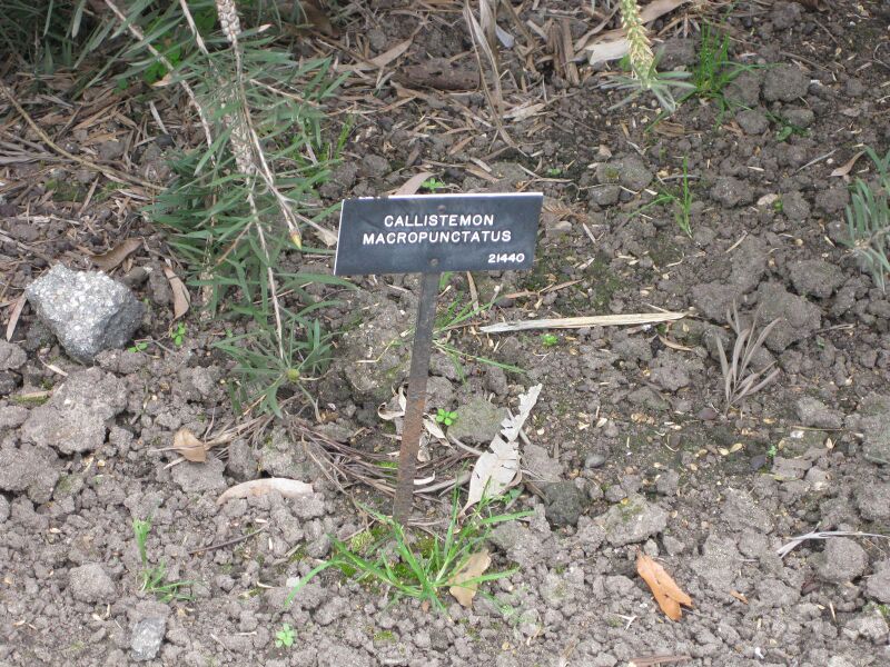 File:IMG 4656 hunt0904.jpg