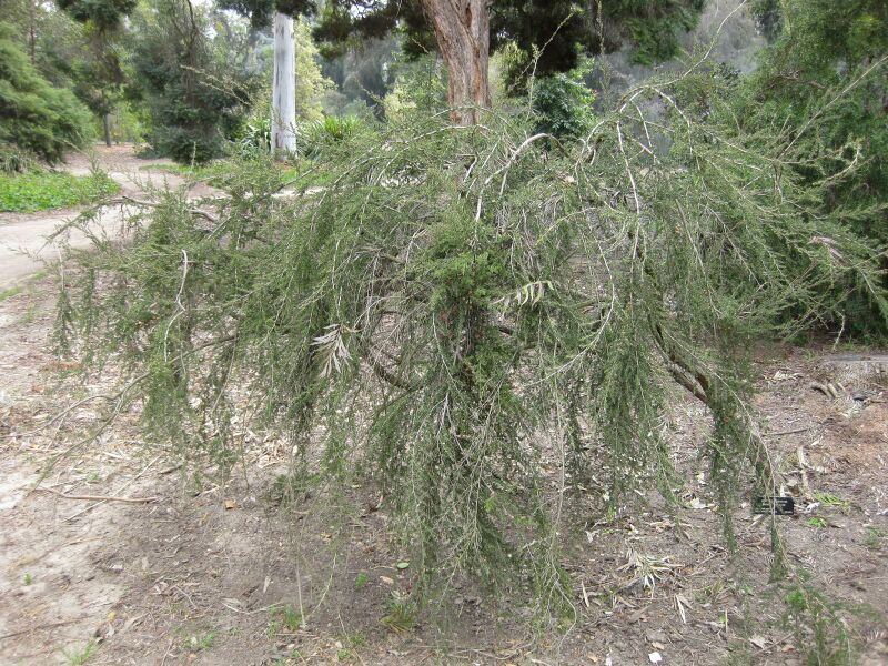 File:IMG 4657 hunt0904.jpg