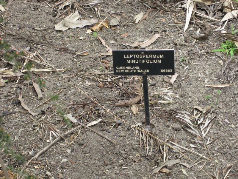 File:IMG 4658 hunt0904.jpg