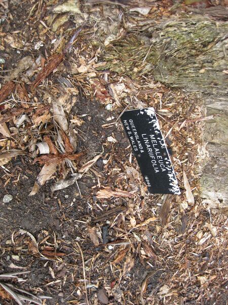 File:IMG 4661 hunt0904.jpg