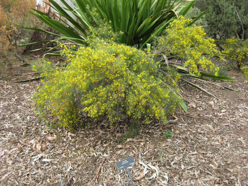 File:IMG 4662 hunt0904.jpg