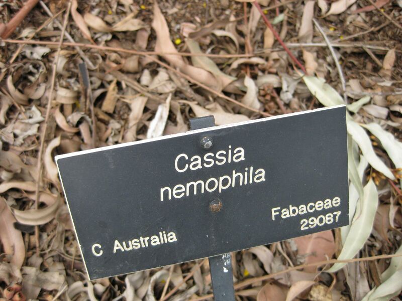 File:IMG 4664 hunt0904.jpg