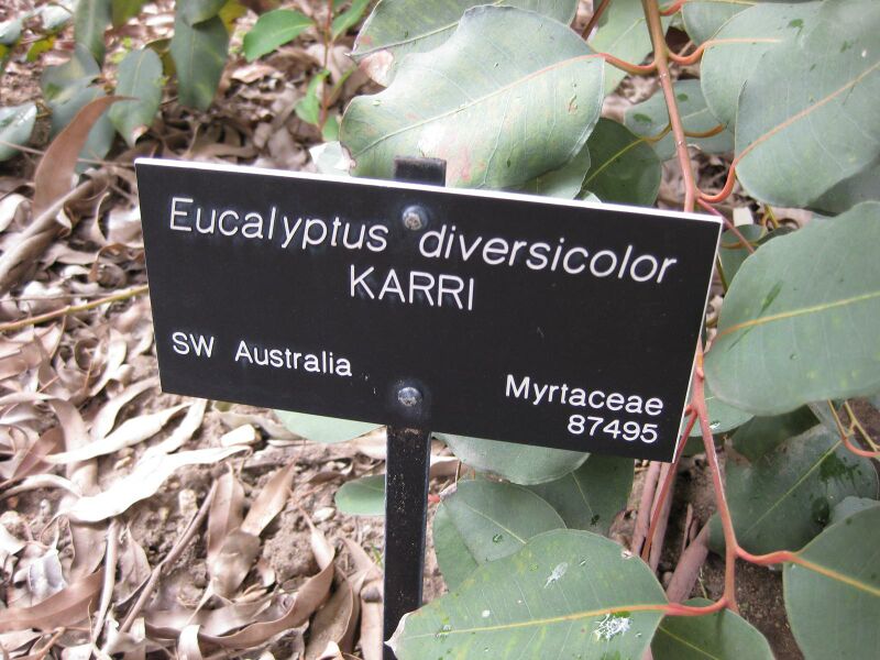 File:IMG 4672 hunt0904.jpg