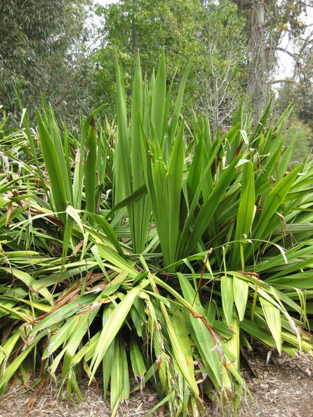 File:IMG 4681 hunt0904.jpg