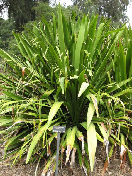 File:IMG 4682 hunt0904.jpg