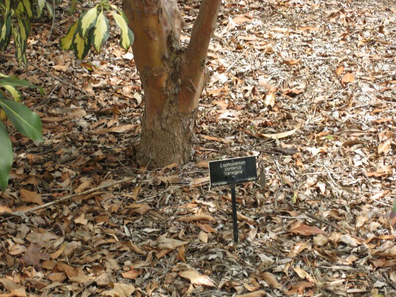 File:IMG 4694 hunt0904.jpg