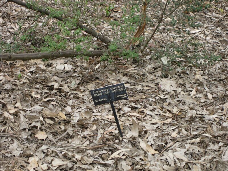 File:IMG 4697 hunt0904.jpg