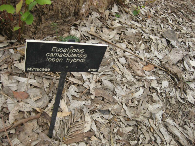 File:IMG 4702 hunt0904.jpg