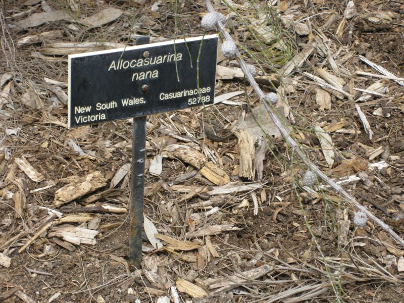 File:IMG 4706 hunt0904.jpg