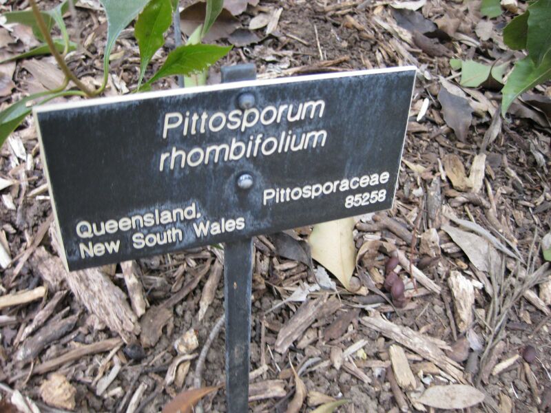 File:IMG 4710 hunt0904.jpg