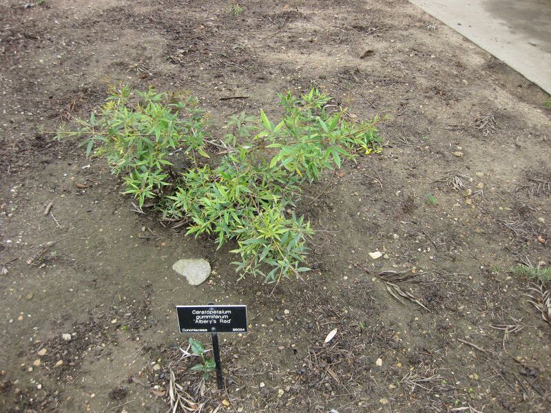 File:IMG 4714 hunt0904.jpg