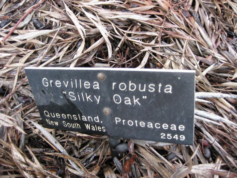 File:IMG 4716 hunt0904.jpg