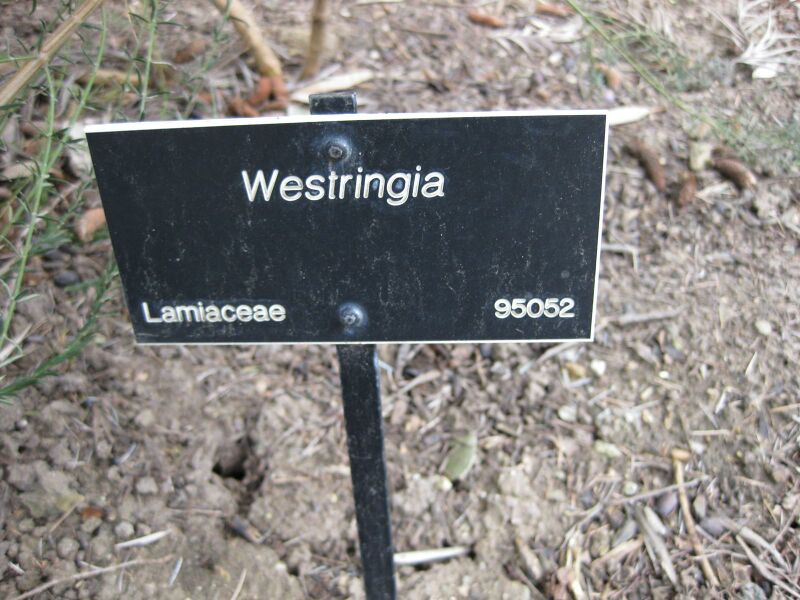 File:IMG 4720 hunt0904.jpg