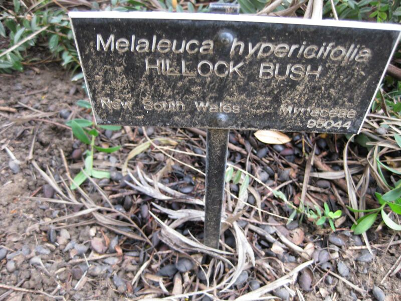 File:IMG 4724 hunt0904.jpg