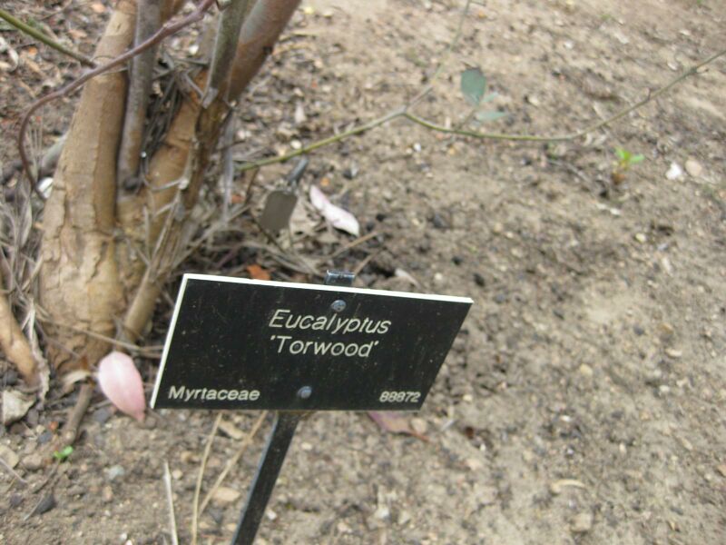 File:IMG 4728 hunt0904.jpg