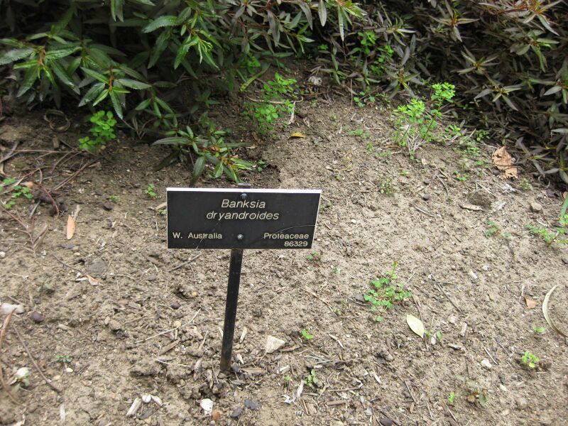 File:IMG 4730 hunt0904.jpg