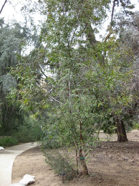 File:IMG 4732 hunt0904.jpg