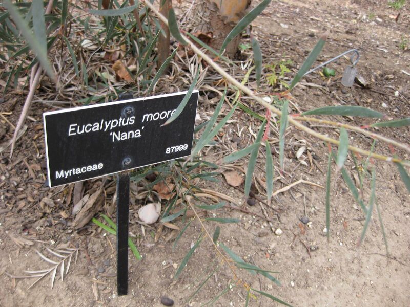 File:IMG 4734 hunt0904.jpg