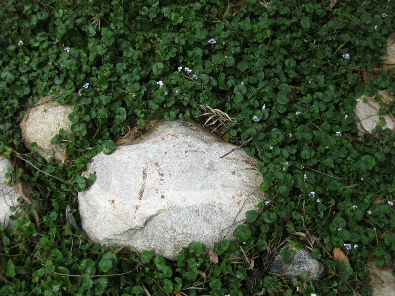 File:IMG 4735 hunt0904.jpg