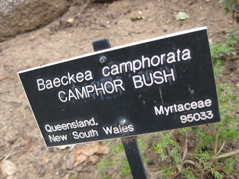 File:IMG 4741 hunt0904.jpg